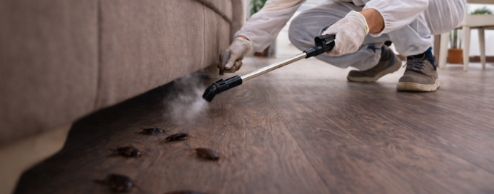 Screenshot 2026 02 18 184742