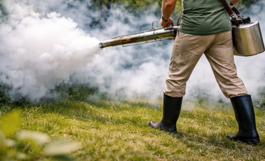 Screenshot 2026 02 18 185011